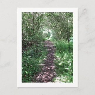 Carte Postale Dans le bois : Cheshire, Angleterre