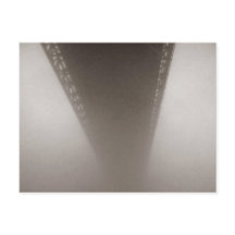 Dans le brouillard