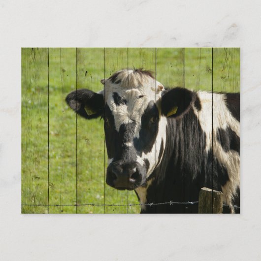 CARTE POSTALE DANS LE CHAMP... (Devant)