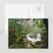 Carte Postale dans le parc national Mount Field (Devant / Derrière)