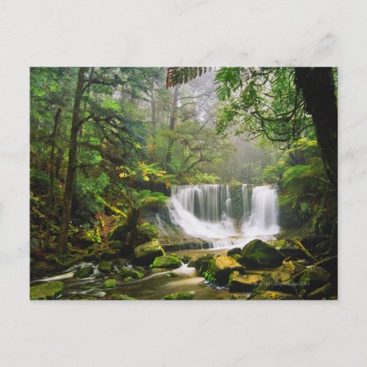 Carte Postale dans le parc national Mount Field (Devant)