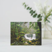 Carte Postale dans le parc national Mount Field (Debout devant)