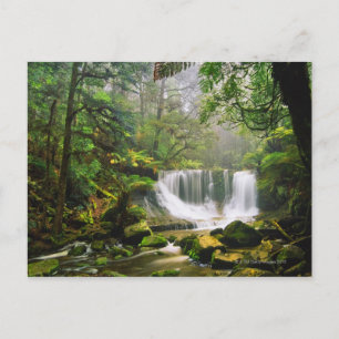 Carte Postale dans le parc national Mount Field