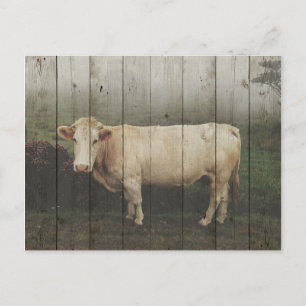 CARTE POSTALE DANS LE PASTURE...