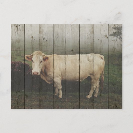 CARTE POSTALE DANS LE PASTURE... (Devant)