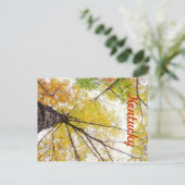 Carte Postale Dans les arbres par JerseyFawn (Debout devant)