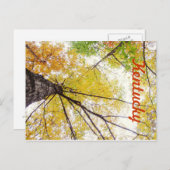 Carte Postale Dans les arbres par JerseyFawn (Devant / Derrière)