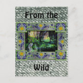 Carte Postale Dans les bois (Devant)