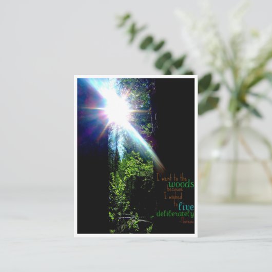 Carte Postale Dans les bois (Debout devant)