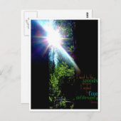 Carte Postale Dans les bois (Devant / Derrière)