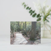 Carte Postale Dans les bois (Debout devant)