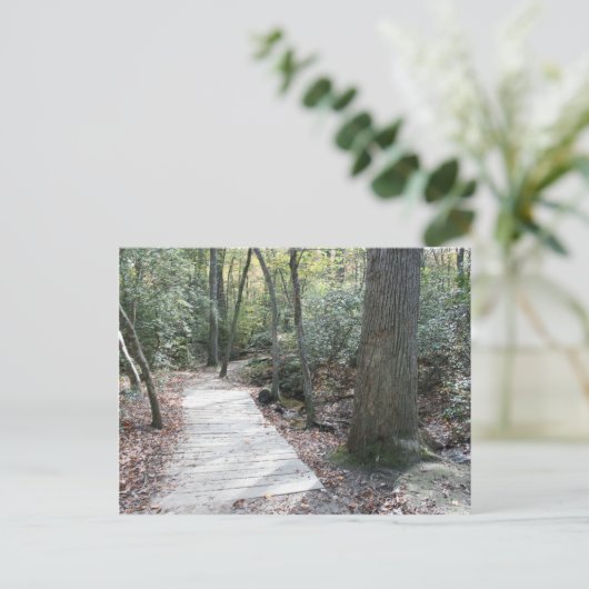 Carte Postale Dans les bois (Debout devant)