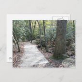 Carte Postale Dans les bois (Devant / Derrière)