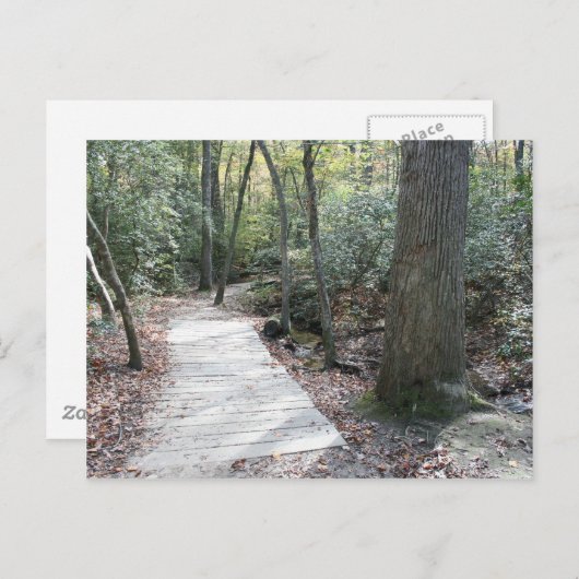 Carte Postale Dans les bois (Devant / Derrière)