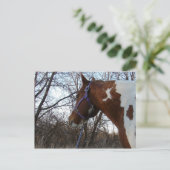 Carte Postale Dans les bois je regarde (Debout devant)