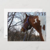 Carte Postale Dans les bois je regarde (Devant / Derrière)