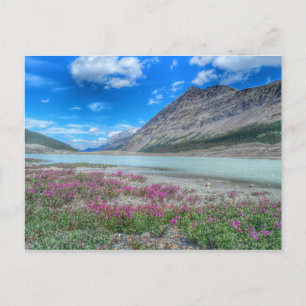Carte Postale Dans les Rocheuses de banff