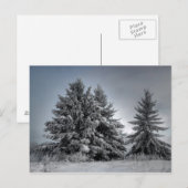 Carte Postale Dans l'esprit de l'hiver (Devant / Derrière)