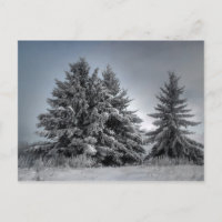 Dans l'esprit de l'hiver