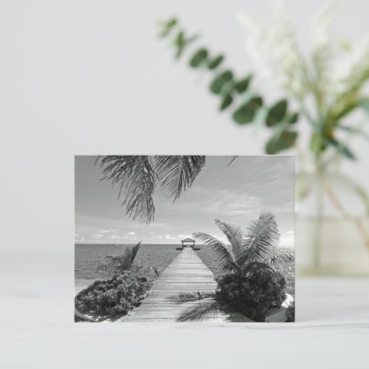 Carte Postale Dans l'océan (Debout devant)