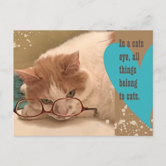 Carte Postale Dans l'oeil d'un chat Drôle de chat (Devant)