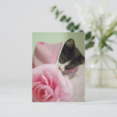 Carte Postale dans poupée couverture Kitten (Debout devant)