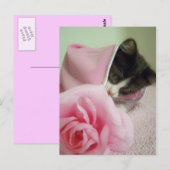 Carte Postale dans poupée couverture Kitten (Devant / Derrière)