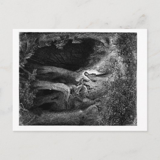 Carte Postale dans un bois sombre (Devant)