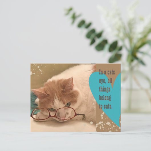 Carte Postale Dans un chat oeil mignon chat (Debout devant)