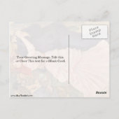 Carte Postale Danse À Bougival Par Pierre-Auguste Renoir (Dos)