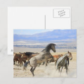 Carte Postale Danse Avec Des Capots (Devant / Derrière)