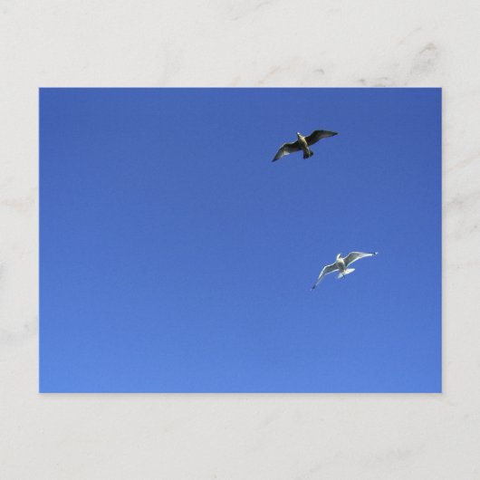 Carte Postale danse de la liberté (Devant)