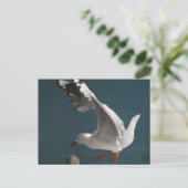 Carte Postale danse de la mer (Debout devant)