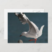 Carte Postale danse de la mer (Devant / Derrière)