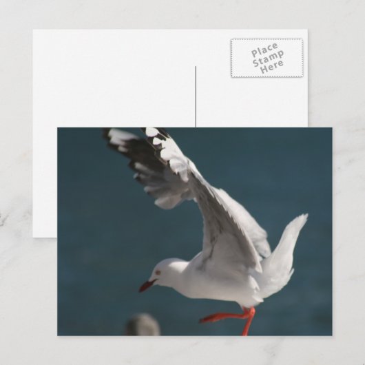 Carte Postale danse de la mer (Devant / Derrière)