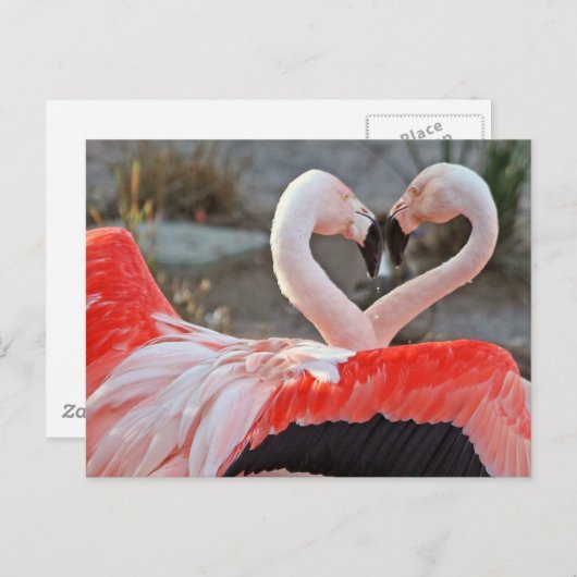 Carte Postale Danse de l'amour (Devant / Derrière)