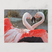 Carte Postale Danse de l'amour (Devant)