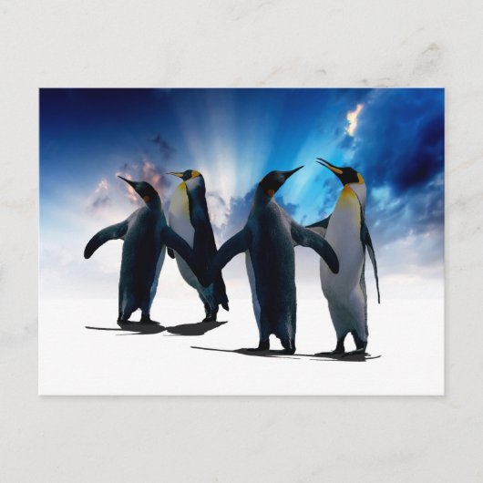 Carte Postale Danse des pingouins (Devant)