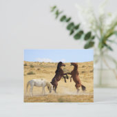 Carte Postale Danse du désert (Debout devant)