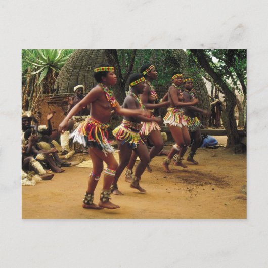Carte Postale Danse, Style Zulu - Afrique du Sud (Devant)