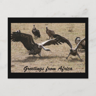 Carte Postale danse vautours