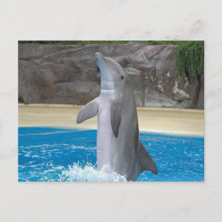 Carte postale Danser