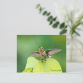 Carte Postale Danser et Humming ! (Debout devant)
