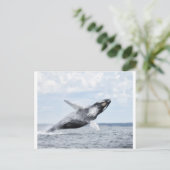 Carte Postale Danses avec baleines 8 (Debout devant)