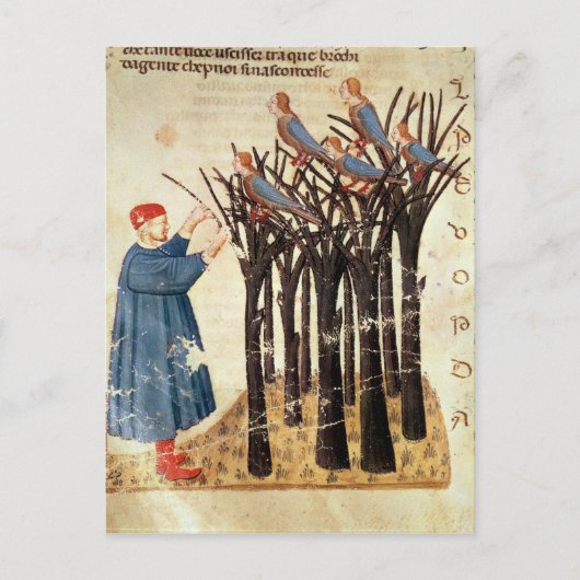 Carte Postale Dante et les âmes transformées en oiseaux (Devant)