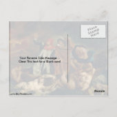 Carte Postale Dante Et Virgile En Enfer Par Eugene Delacroix (Dos)