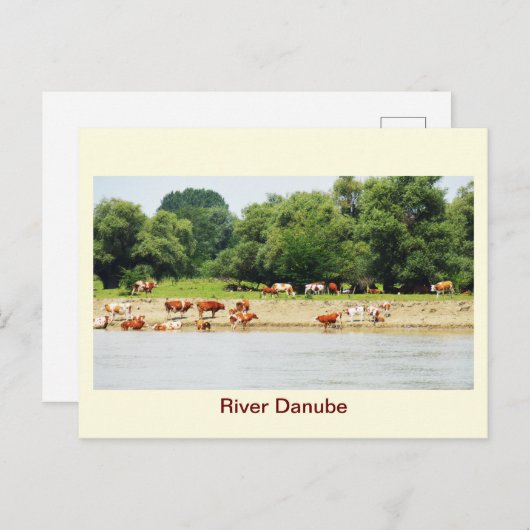Carte Postale Danube (Devant / Derrière)