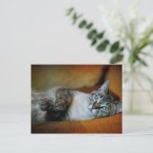 Carte Postale Daphné (Debout devant)