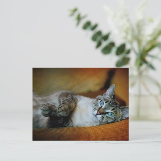 Carte Postale Daphné (Debout devant)