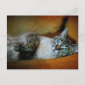 Carte Postale Daphné (Devant)